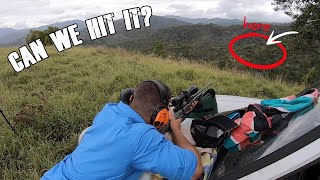 Can We Hit the Target Long Range Shooting with Leupold Scopes [upl. by Roselba243]