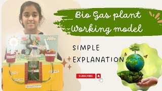 Bio Gas plant working Model simple explanation gobar gas  renewable energy [upl. by Nnylram]