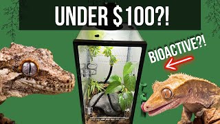 10 Gallon to vertical Vivarium  BIOACTIVE [upl. by Hess]