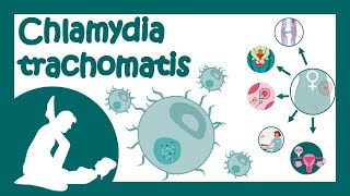 Chlamydia trachomatis  Chlamydial infection  Sexually transmitted disease  Treatment of Chlamydia [upl. by Aillimat]