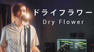 Dry Flower Japanese Ver  Yuuri cover  feat kakitmusic [upl. by Oigaib293]