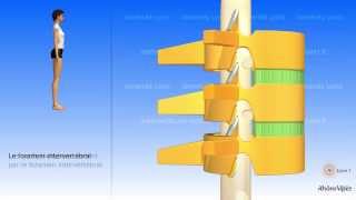 La colonne vertébrale simplifiée et la vertèbre type [upl. by Coulter]