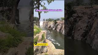 Hogenakkal waterfalls [upl. by Delp]