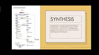 Streptomycin by Shubham Badhe [upl. by Faucher373]