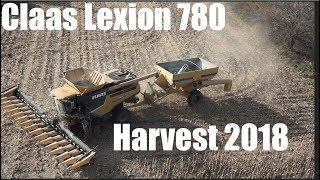 FDWB  Claas Lexion 780  Muddy Day [upl. by Aenyl]