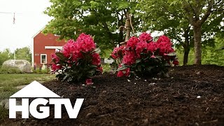 All About Azaleas  Gardening Tips  HGTV [upl. by Molini]