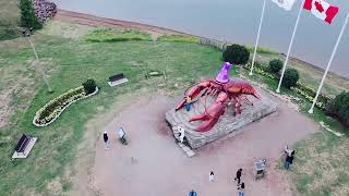 Giant Lobster in Shediac Canada canadalife🇨🇦🇨🇦 douyin xuhuong travel fishing holiday trend [upl. by Refinaj522]