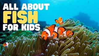 All about Fish for Kids  Learn the characteristics of fish  What is a fish [upl. by Odradlig]