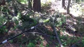 Final Review and Commentary on the Ryobi P43604361 Cordless 18v Electric Pole Saw [upl. by Norad]