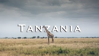 Great Africa Safari in Tanzania  Tarangire National Park [upl. by Della]