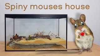 House for spiny mouse NATURAL UNDERGROUND TERRARIUM [upl. by Enelegna]