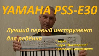 Yamaha PSSE30 Remie  Лучший первый инструмент для ребёнка [upl. by Aihsercal]