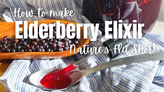 How To Make Elderberry Elixir  Elderberry Tincture [upl. by Patrich]