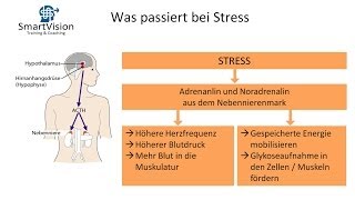 Psychische und körperliche Sympteme bei Stress Webinar  Ausschnitt von SmartVision [upl. by Ettebab618]