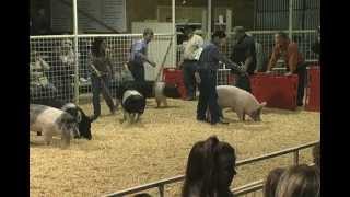 Walter Gerlach Livestock Show 2012 [upl. by Chae325]