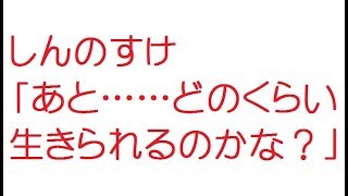 【VIP】しんのすけ「あと……どのくらい生きられるのかな？｣5ch旧2ch2008年のスレ [upl. by Aleta]