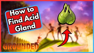 How to Find Acid Gland in Grounded [upl. by Alegnaoj]