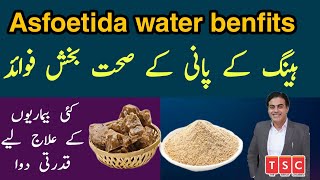 Asafoetida water Health Benefits  Heeng Benefits Heeng Ky Fayde  UrduHindi [upl. by Yllet]