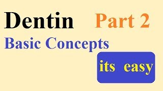 Dentin  part 2 BASIC CONCEPTS [upl. by Adiahs]