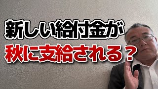 新たな給付金、秋に出るって本当？現状はどうなっている？ [upl. by Airekahs]