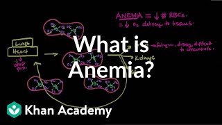 What is anemia  Hematologic System Diseases  NCLEXRN  Khan Academy [upl. by Nicky]