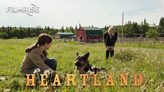 Heartland  Season 6 Episode 6  Helping Hands  Full Episode [upl. by Ynagoham484]