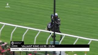 Waller Valiant King [upl. by Enilauqcaj]