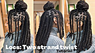 Locs Two Strand Twists Tutorial and Style Idea [upl. by Kinch]