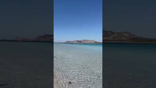 Spiaggia La Pelosa  Sardegna  Sardinian Beaches  Holidays  Relax eleonoramartis [upl. by Slayton]