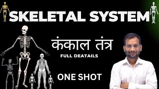 Skeletal System  कंकाल तंत्र ONE SHOTAxial SkeletonAppendicular Skeleton Functions Disorders [upl. by Yrian]