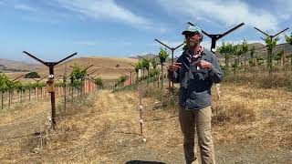 Paicines Ranch Vineyard workshop [upl. by Carlton]