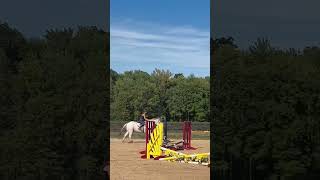 IEA lesson Rode ziggy horse [upl. by Nosinned]