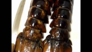 How to prepare and cook lobster tails for eating recipe tutorial [upl. by Arrakat]