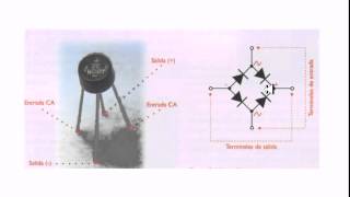 Puente rectificador curso de electrónica entradas y salidas [upl. by Shutz]