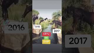 Ayyaana waggaa bara 2017፣መልካም አድስ ዓመት [upl. by Clercq491]