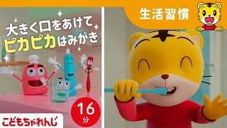 【16分歌まとめ】ピカピカはみがきのうた  大きく口をあけられるかな？  よい生活習慣  子ども向け童謡詰め合わせ 童謡  しまじろうチャンネル公式 [upl. by Brick]