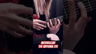 The Abysmal Eye cover is out now on my YouTube meshuggah theabysmaleye immutable [upl. by Emya]