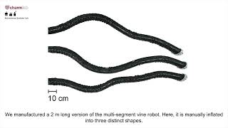 A MultiSegment Soft Growing Robot with Selective Steering [upl. by Iruahs]