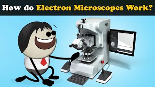 How do Electron Microscopes Scanning Work  more videos  aumsum kids science education [upl. by Nomael]