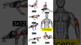 Triceps muscles Exercise tricks workout shorts viral armworkout [upl. by Banks369]