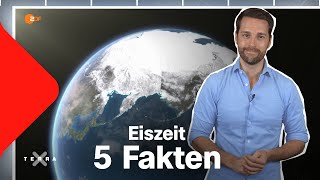 Eiszeit in Europa – 5 spannende Fakten  Terra X [upl. by Ehcnalb]