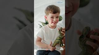 Happy Playing With Trex And Brontosaurus Dinosaurs 🦖🦕 dinosaurs trex brontosaurus dinotoys diy [upl. by Kina404]