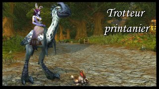 Trotteur printanier rapide  Elite monture wow Swift Springstrider [upl. by Ayanej]