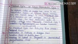 Menstrual cycle lesson 3 class 12 biology handwritten notes [upl. by Ajram]