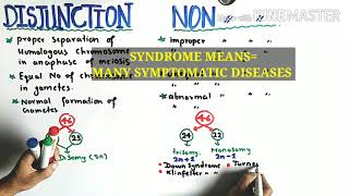 Nondisjunction of Chromosomes  Down klinefelters And Turner syndrome  Class 12 Biology [upl. by Lajet]