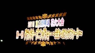 2016東京競馬場花火大会 カウントダウン～未来へのファンファーレ [upl. by Maxi]