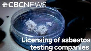 Tenant wants Manitoba to license asbestos testing companies [upl. by Mmada]