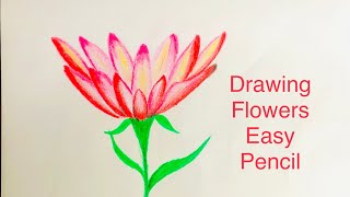 Flowers Drawing Easy pencil How To Draw a Pencil With Beautiful Art Step By Step Sketch [upl. by Lozano]