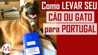 Como LEVAR seu CACHORRO para PORTUGAL  Canal Maximizar [upl. by Earized450]