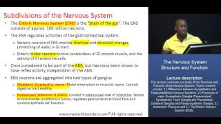 PCAT The Nervous System  Part 2 – The Enteric Nervous System ENS [upl. by Shaver]